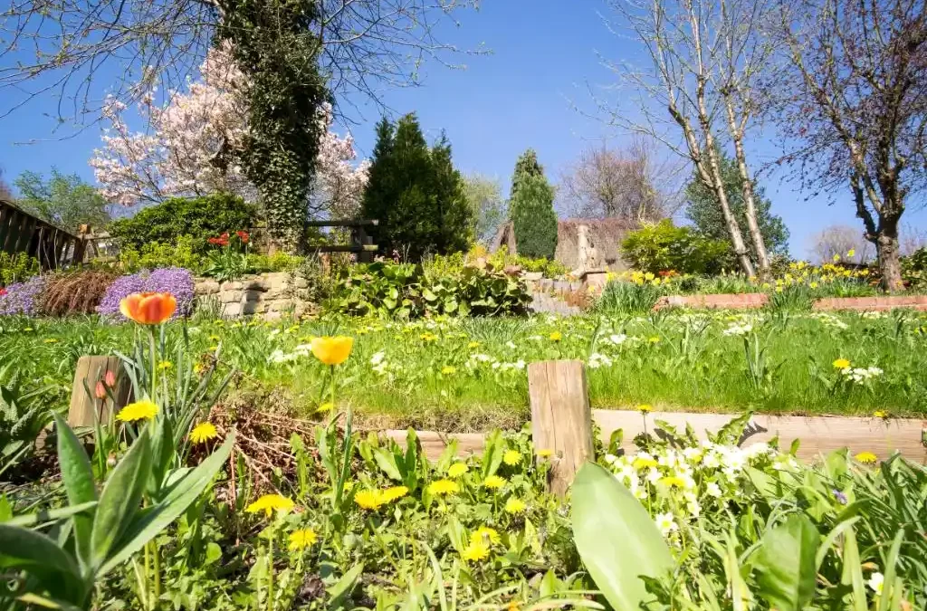 Maşuk Garden > Çekim Platosu Nedir?